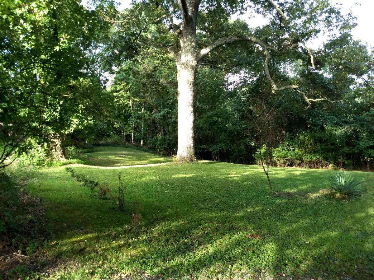 The Bent Branch Lodge - A Gnomes Retreat - Historic Virginia Log Cabin, Coy Pond And Babbling Brook Lynchburg Exterior photo